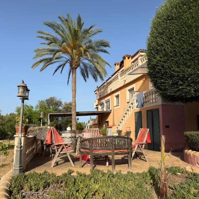 Terrasse einer mallorquinischen Finca mit Palme